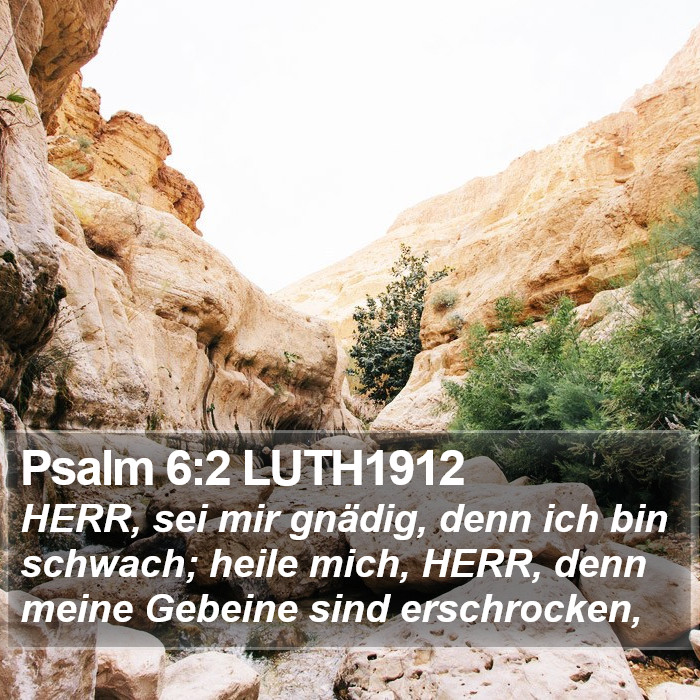 Psalm 6:2 LUTH1912 Bible Study