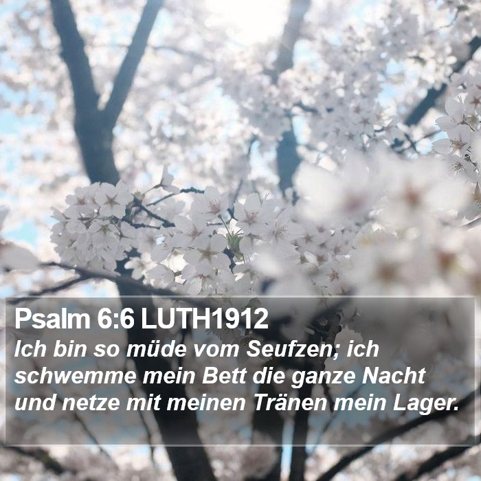 Psalm 6:6 LUTH1912 Bible Study