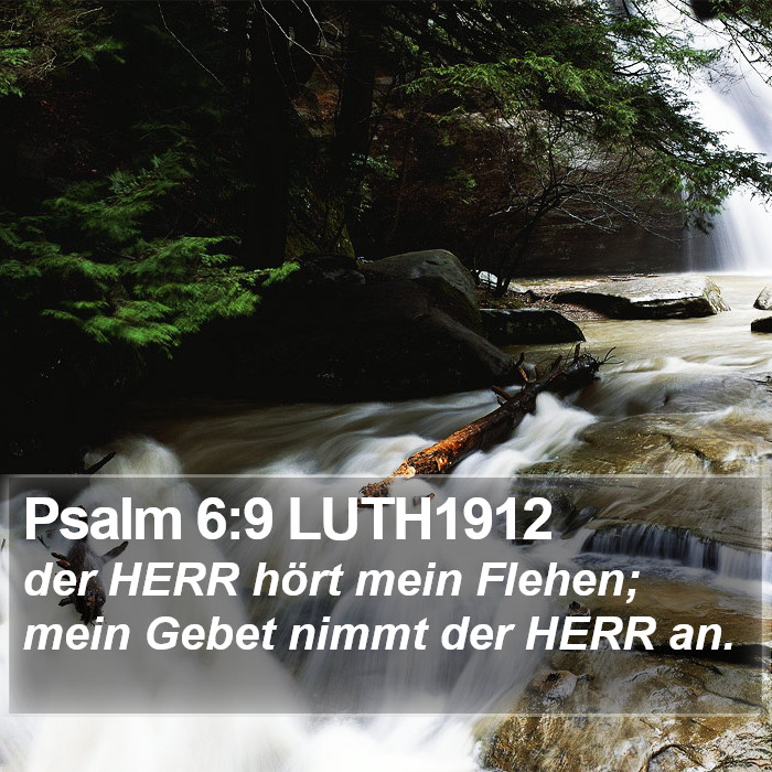 Psalm 6:9 LUTH1912 Bible Study