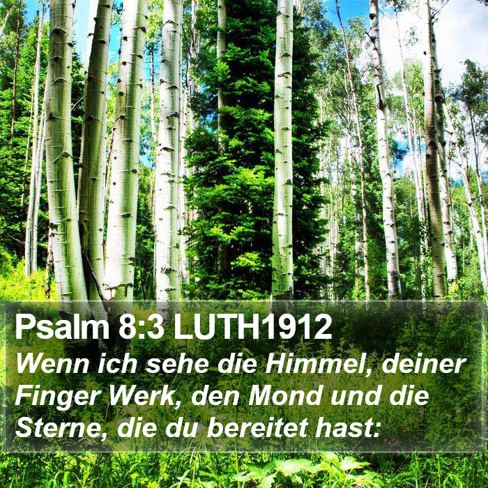 Psalm 8:3 LUTH1912 Bible Study