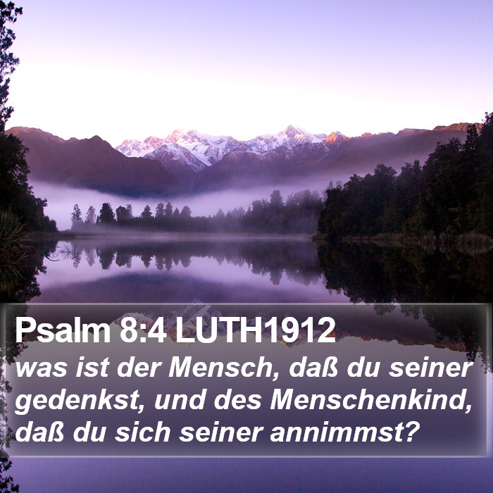 Psalm 8:4 LUTH1912 Bible Study