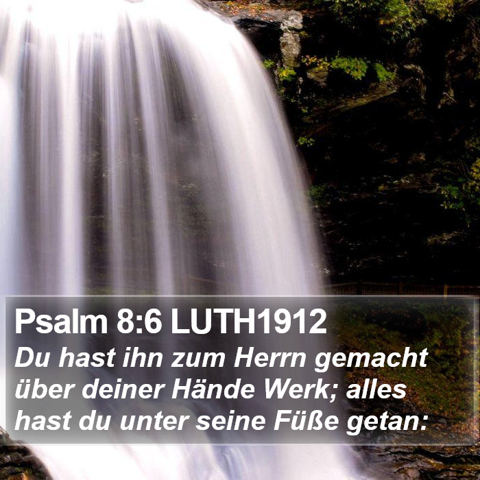 Psalm 8:6 LUTH1912 Bible Study