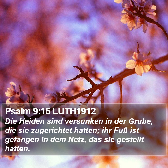 Psalm 9:15 LUTH1912 Bible Study