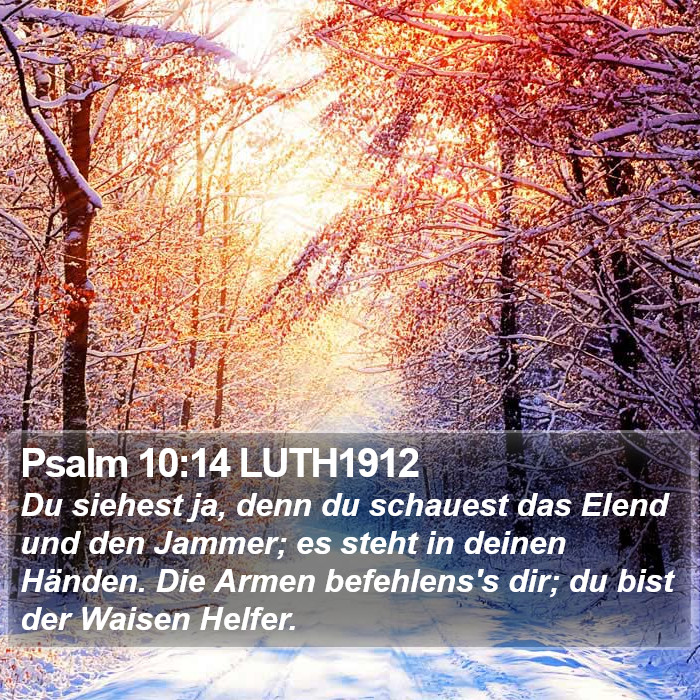 Psalm 10:14 LUTH1912 Bible Study