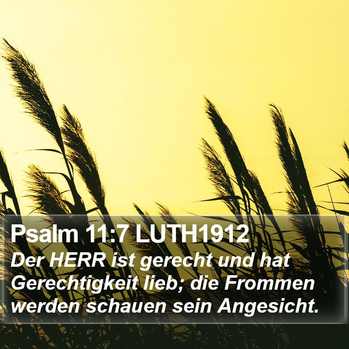 Psalm 11:7 LUTH1912 Bible Study