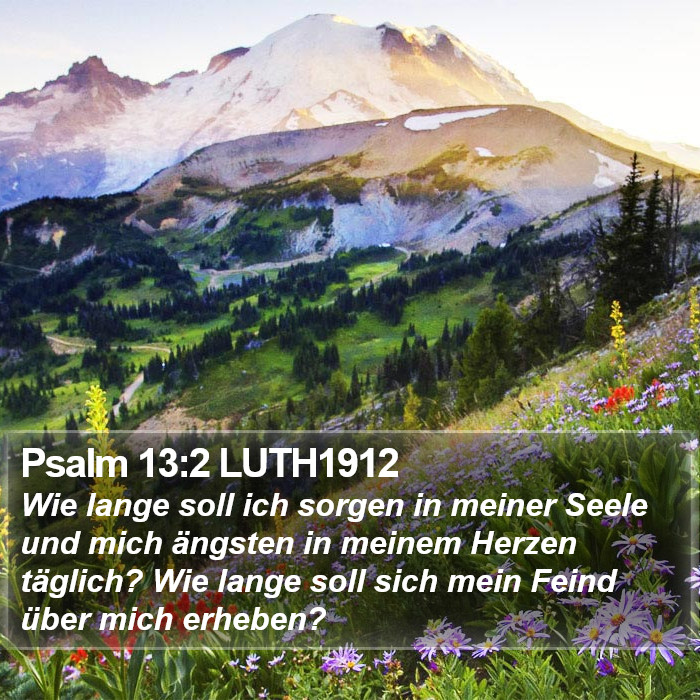 Psalm 13:2 LUTH1912 Bible Study