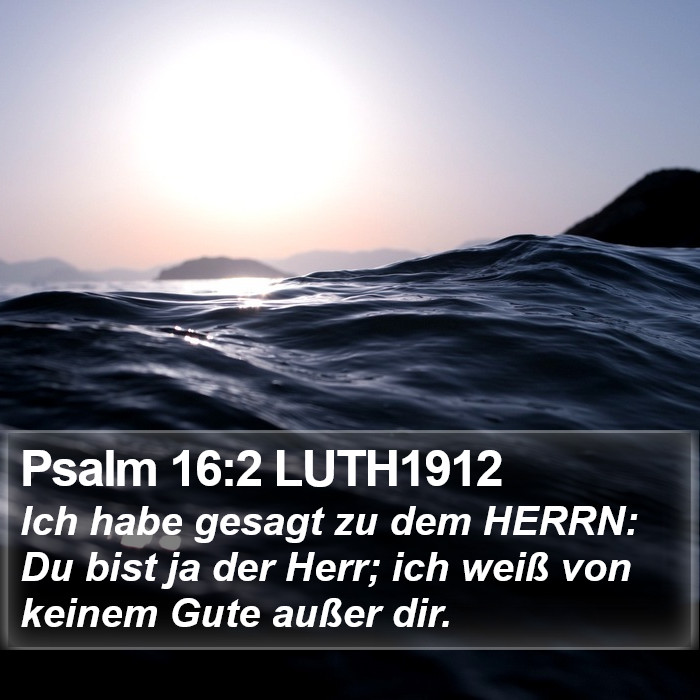 Psalm 16:2 LUTH1912 Bible Study