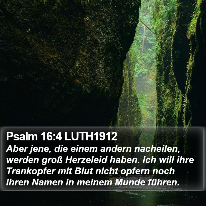 Psalm 16:4 LUTH1912 Bible Study