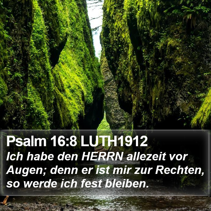Psalm 16:8 LUTH1912 Bible Study