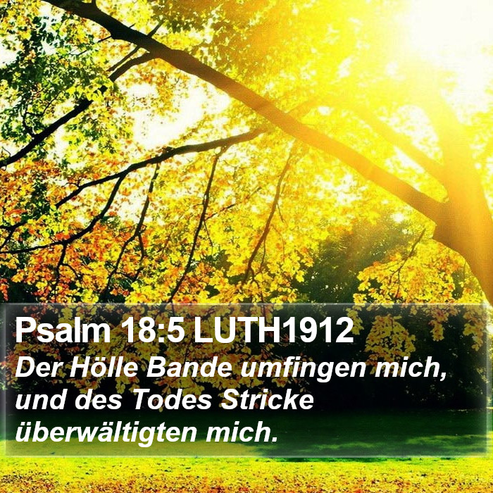 Psalm 18:5 LUTH1912 Bible Study