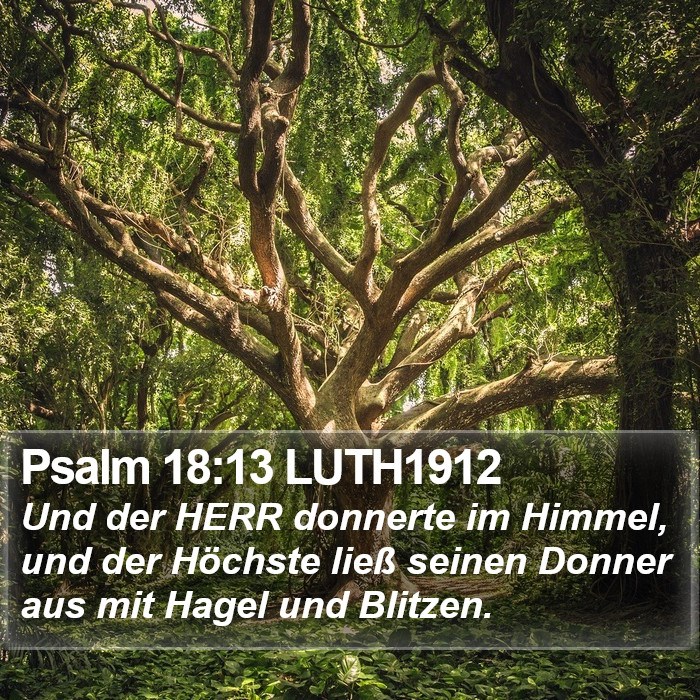 Psalm 18:13 LUTH1912 Bible Study