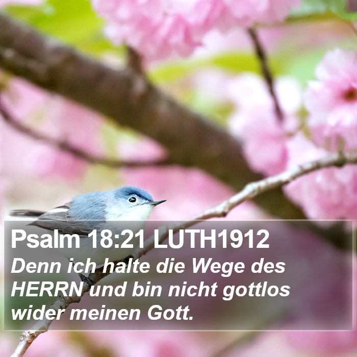 Psalm 18:21 LUTH1912 Bible Study