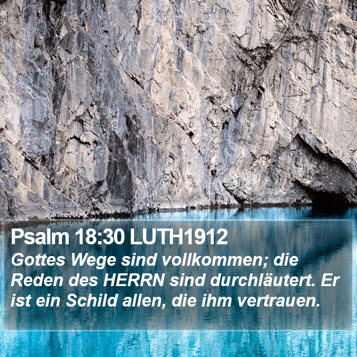 Psalm 18:30 LUTH1912 Bible Study