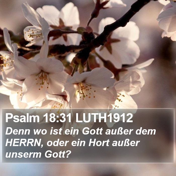 Psalm 18:31 LUTH1912 Bible Study