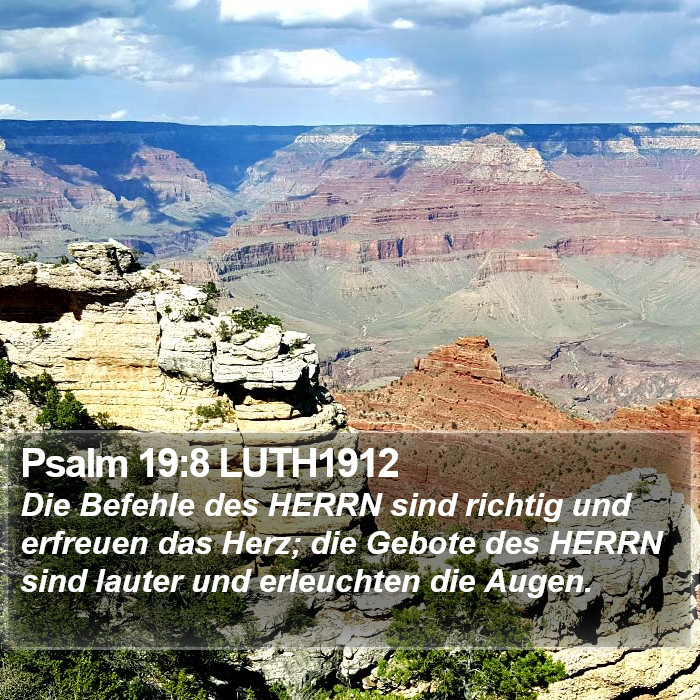 Psalm 19:8 LUTH1912 Bible Study