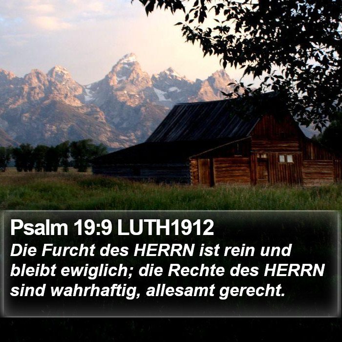 Psalm 19:9 LUTH1912 Bible Study