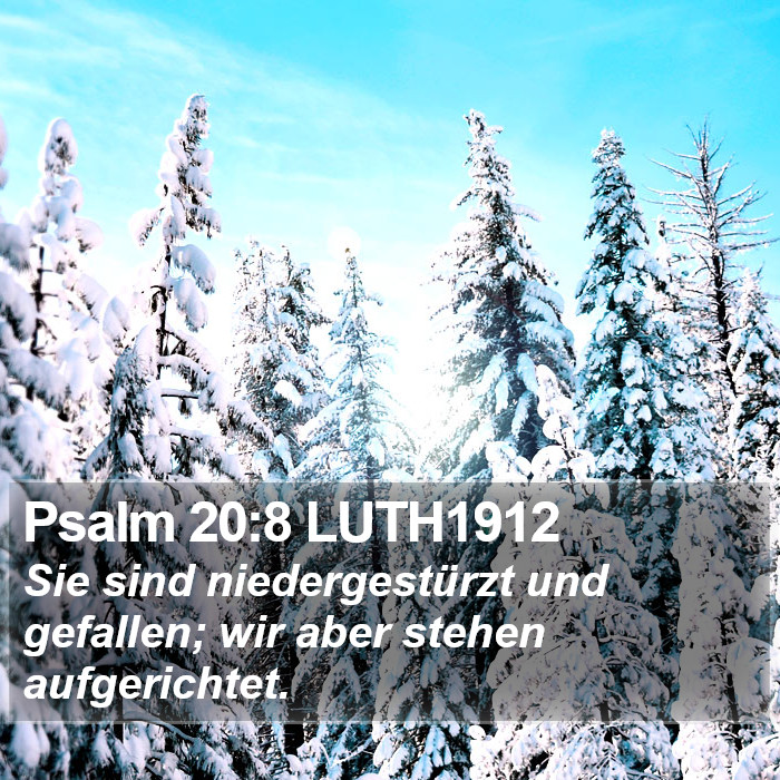 Psalm 20:8 LUTH1912 Bible Study