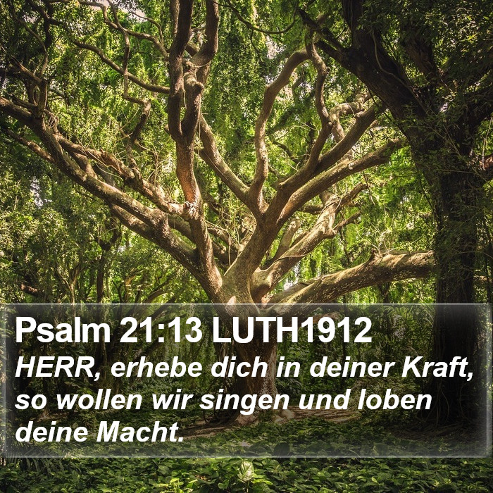 Psalm 21:13 LUTH1912 Bible Study