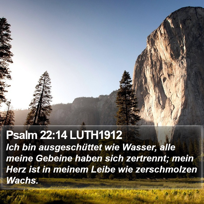 Psalm 22:14 LUTH1912 Bible Study