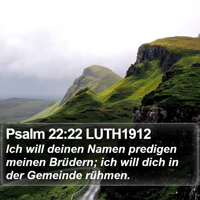Psalm 22:22 LUTH1912 Bible Study