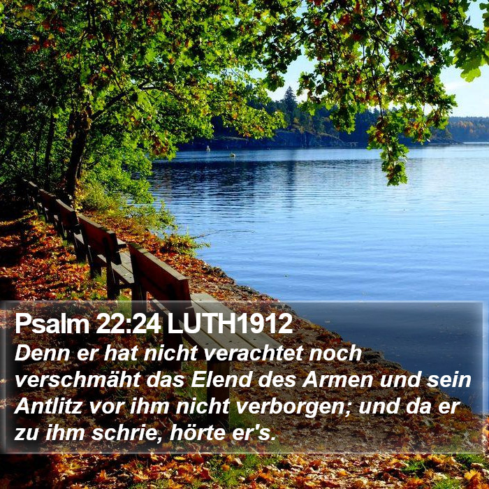 Psalm 22:24 LUTH1912 Bible Study