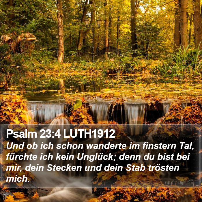 Psalm 23:4 LUTH1912 Bible Study