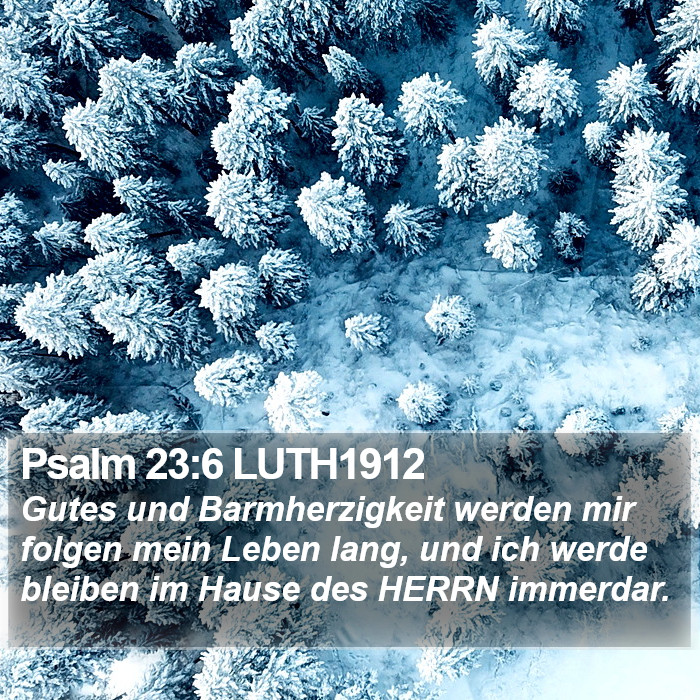 Psalm 23:6 LUTH1912 Bible Study