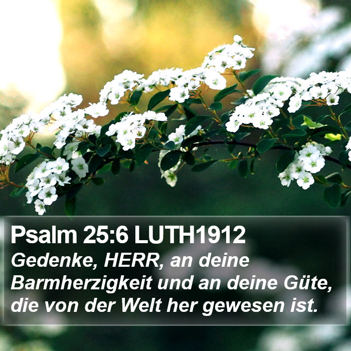 Psalm 25:6 LUTH1912 Bible Study