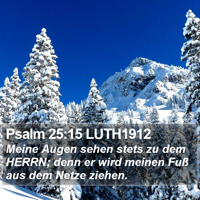 Psalm 25:15 LUTH1912 Bible Study