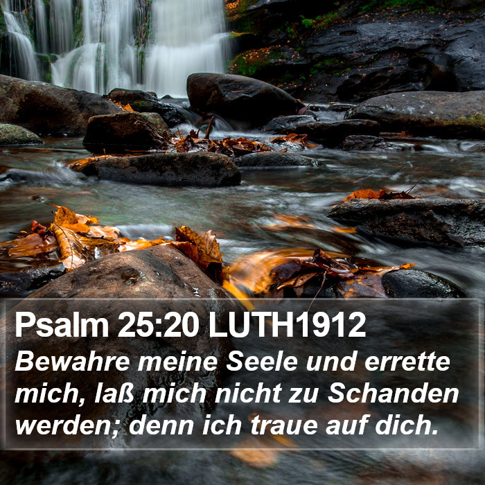 Psalm 25:20 LUTH1912 Bible Study