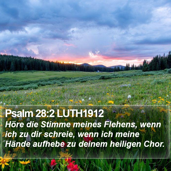 Psalm 28:2 LUTH1912 Bible Study