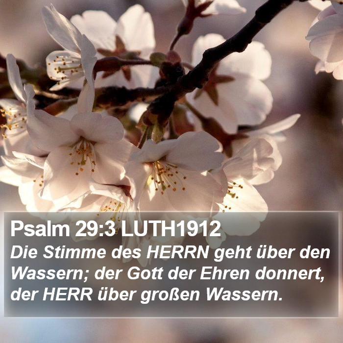 Psalm 29:3 LUTH1912 Bible Study