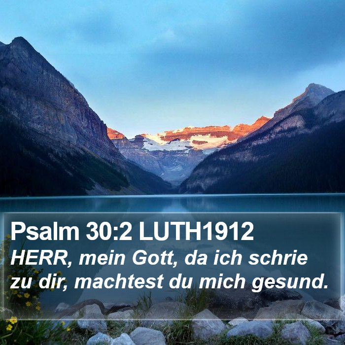 Psalm 30:2 LUTH1912 Bible Study