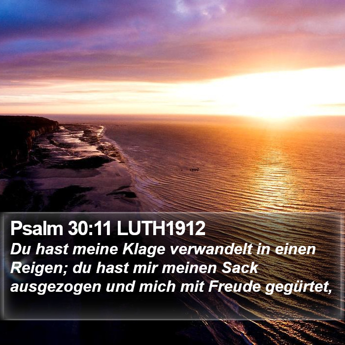 Psalm 30:11 LUTH1912 Bible Study