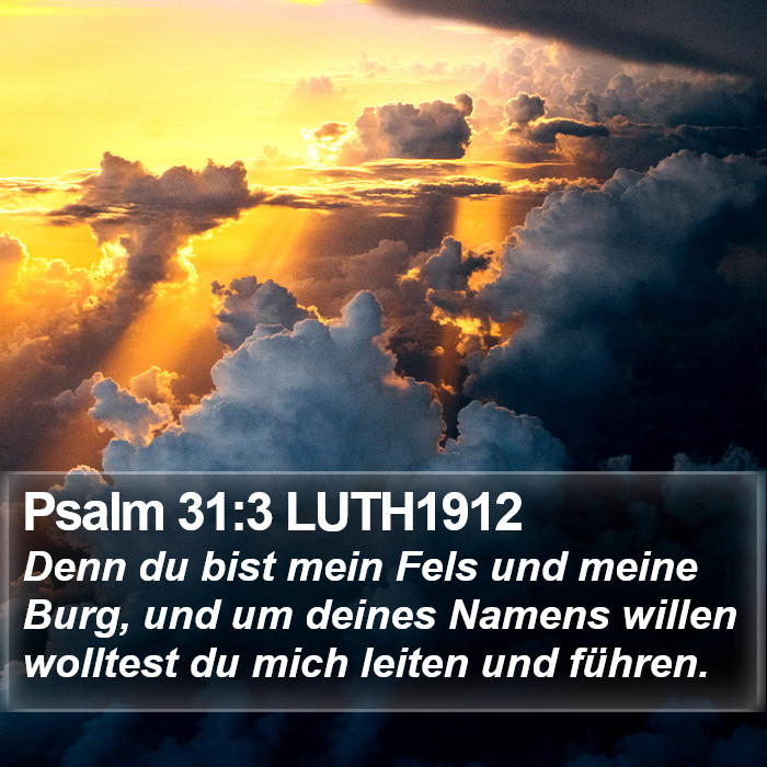 Psalm 31:3 LUTH1912 Bible Study