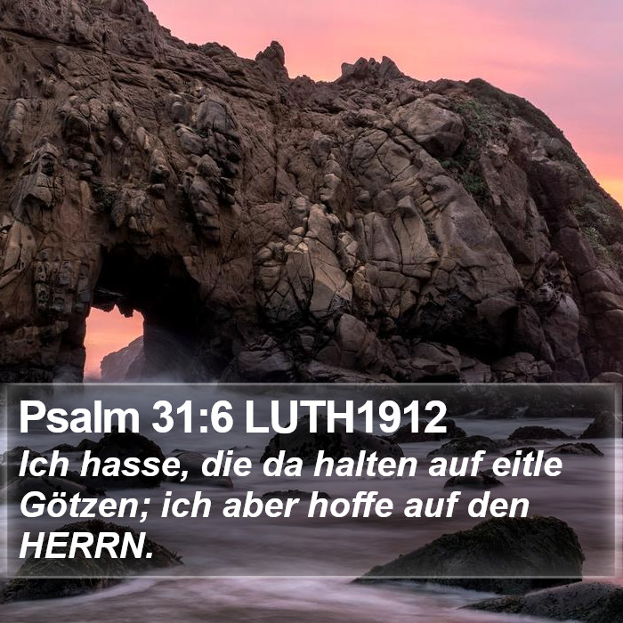 Psalm 31:6 LUTH1912 Bible Study