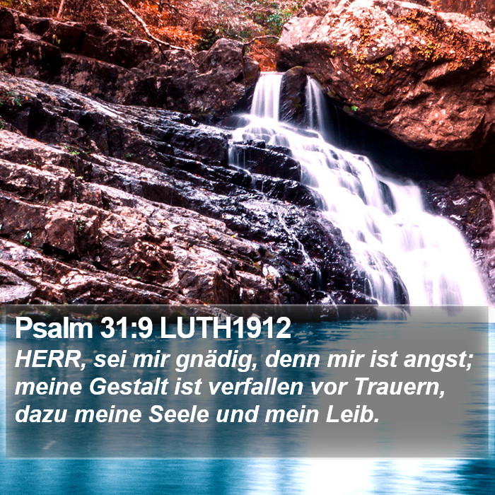Psalm 31:9 LUTH1912 Bible Study