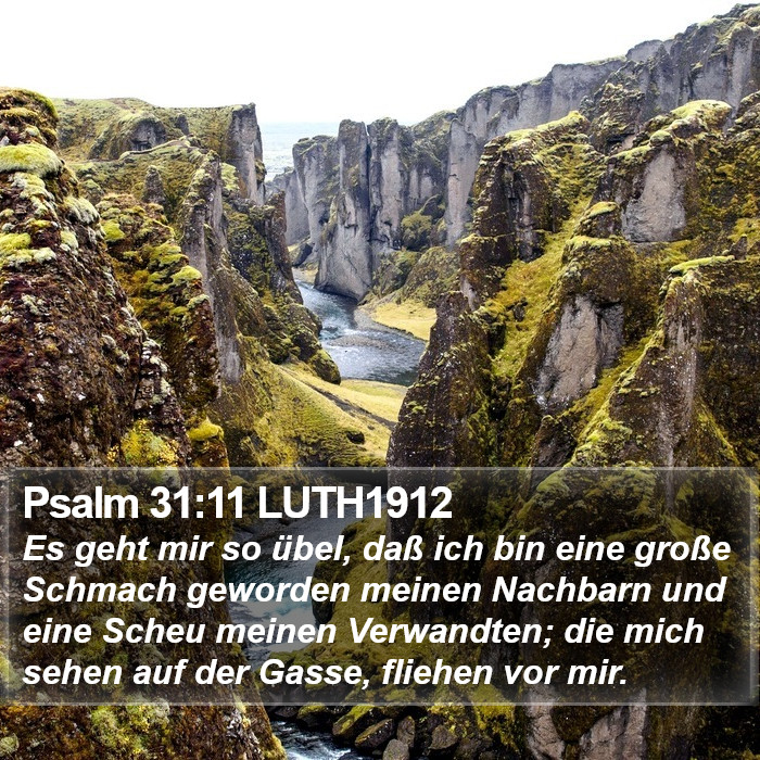 Psalm 31:11 LUTH1912 Bible Study