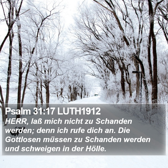 Psalm 31:17 LUTH1912 Bible Study