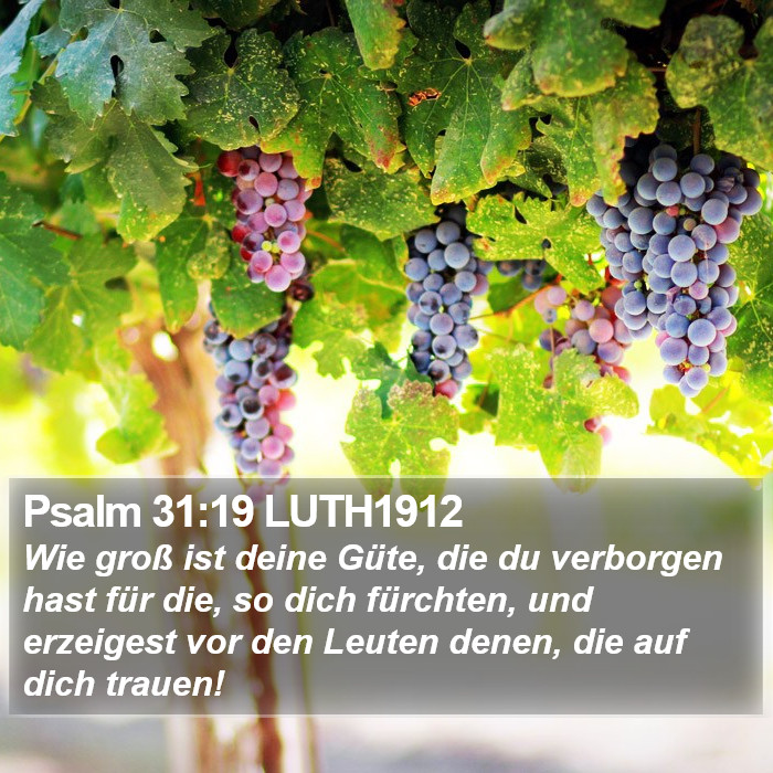 Psalm 31:19 LUTH1912 Bible Study