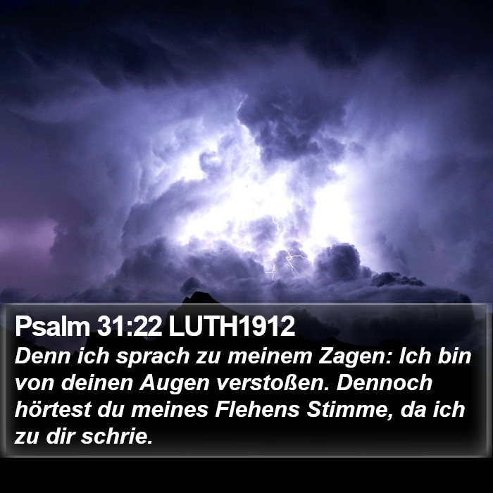Psalm 31:22 LUTH1912 Bible Study