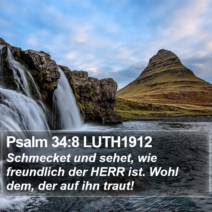 Psalm 34:8 LUTH1912 Bible Study