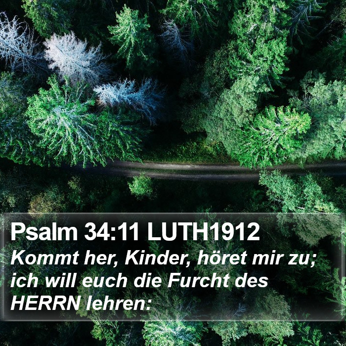 Psalm 34:11 LUTH1912 Bible Study