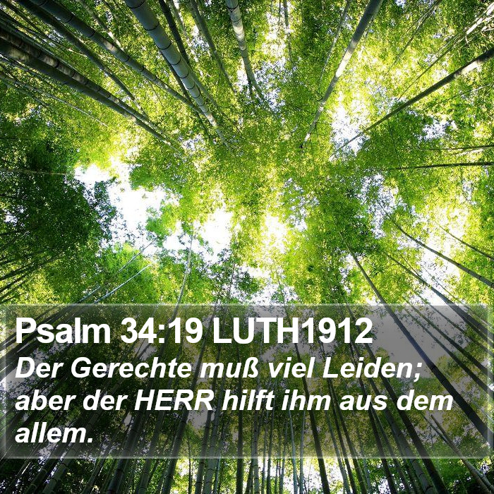 Psalm 34:19 LUTH1912 Bible Study