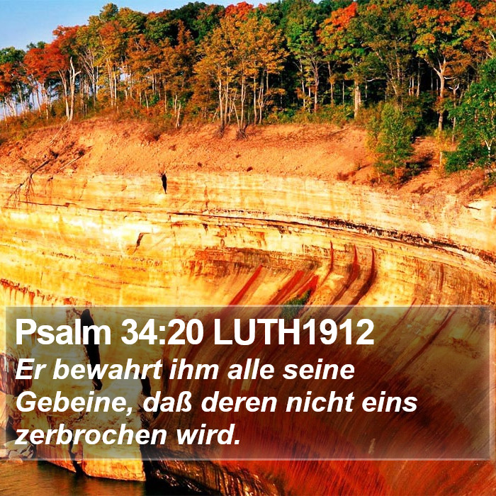 Psalm 34:20 LUTH1912 Bible Study