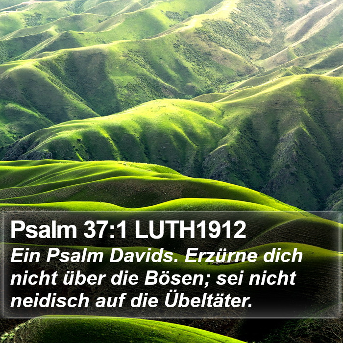 Psalm 37:1 LUTH1912 Bible Study