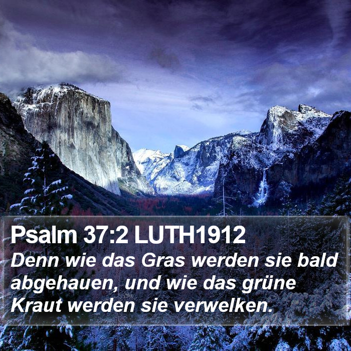 Psalm 37:2 LUTH1912 Bible Study