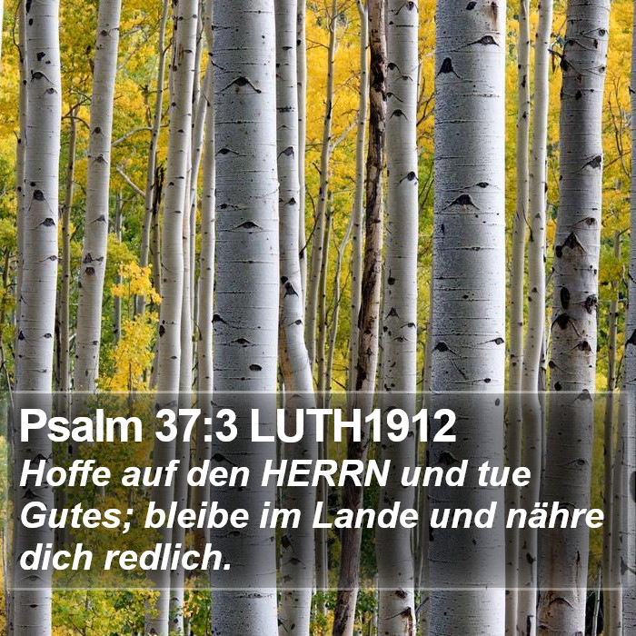 Psalm 37:3 LUTH1912 Bible Study