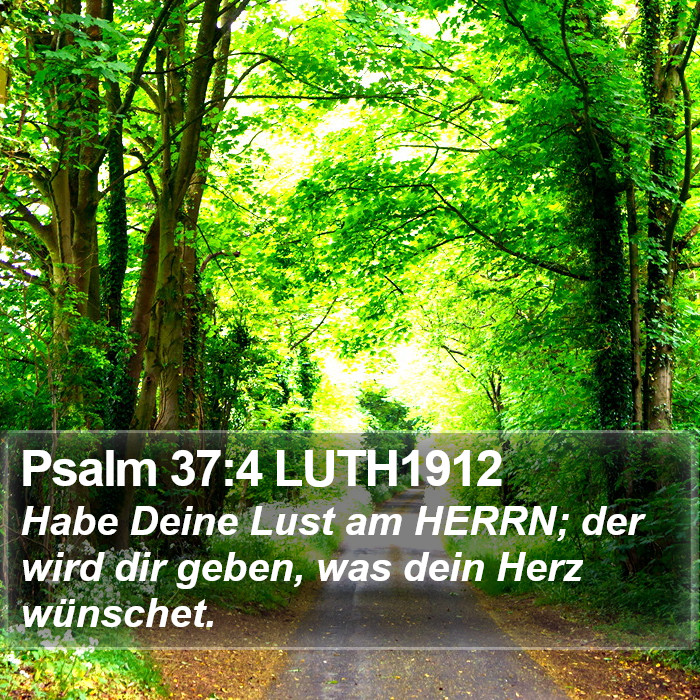 Psalm 37:4 LUTH1912 Bible Study