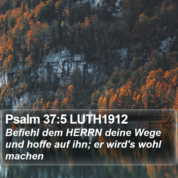 Psalm 37:5 LUTH1912 Bible Study